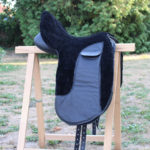 Reitsport Falkensee Shop Mein Andalusier Zalea Zaldi schwarz