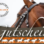 Reitsport Falkensee Gutschein