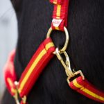 Zaldi Halfter SPANIEN Deluxe Reitsport Falkensee